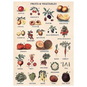 Cavallini & Co. Fruits & Vegetables Vintage Image Chart, 20” x 28” Inch - NWT